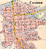 Карта Скопина