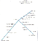 Карта ташкента