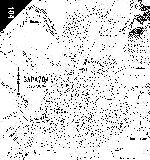 Карта Зарайска